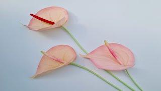 How to make Anthurium from crepe paper / Paper Flower / Góc nhỏ Handmade