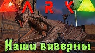 ARK: Scorched Earth - Наши виверны