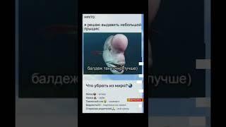 #tiktok #подпишись #video #актив #рек #рекомендации #смех #рофл #shorts #смешно #прикол #short