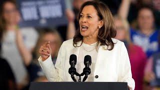 Democrats questioned over decision to elect Harris as presidential nominee