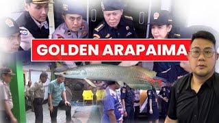 GOLDEN ARAPAIMA