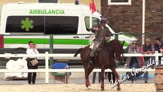 José Antonio Olea Rodríguez y Embajador P  Manejabilidad