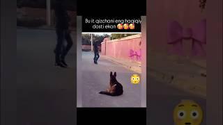 N1 eng zo'r videolar kanali Hayot_Sinovlari1️ #reels #ibrat #instagram #ibratli #rek #shorts