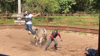 Bull Practice and Bullrider Practice