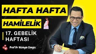 17 HAFTA GEBELİK (hafta hafta gebelik, gebeliğin 17.haftasında hem bebekte hem annede neler oluyor?)