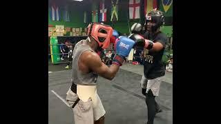 TERENCE CRAWFORD 2.0 | ASHTON SYLVE | FUTURE WORLD CHAMPION | KNOCKOUT ARTIST BOXING PHENOM