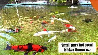 Koi pond in a small park in Ishiwa Onsen（Isawa, Yamanashi, Japan）