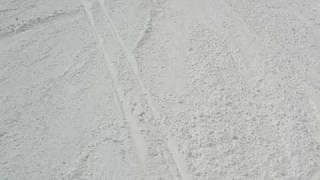 Timberline Lodge, Mt. Hood March 13, 2009 below Palmer lift