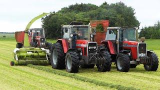 Massey Ferguson 2640, 2680 & 2725 Chopping Grass | Vintage Grass Silage Day