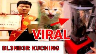 kucing di blender video asli | kucing di blender | video kucing di blender viral #kucing