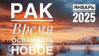 Рак ️ Январь 2025 года ️️Таро прогноз