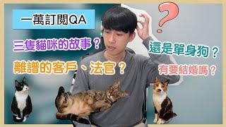 一萬訂閱Q&A  | 說說貓咪跟自己的小故事  | 貓奴律師 | 生活法律小學堂