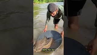 Find Gold in Beach Sand Without Metal Detector! #Shorts