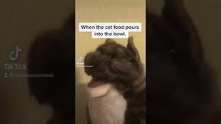 When the cat food pours into the bowl.