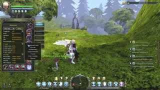 Крестоносец Dragon nest V.3