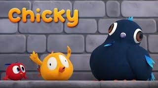 Where's Chicky? Funny Chicky 2023 | THE BLUE BIRD | Cartoon in English for Kids | New episodes