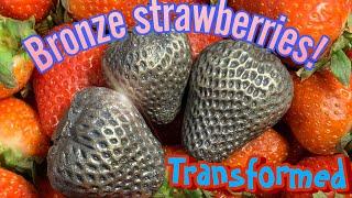 Bronze strawberries. Don’t forget to check out the full video.