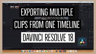 Exporting Clips from one Timeline as Individual Files in DaVinci Resolve 18