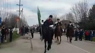 Адыгэ шууейхэр Псыгансу/Жанхъуэтхьэблэ къуажэм. Kabardian horses