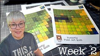 Butterfly Pixel Quilt Sew Along - Part 2 - Free Pattern by Lisa Capen Quilts