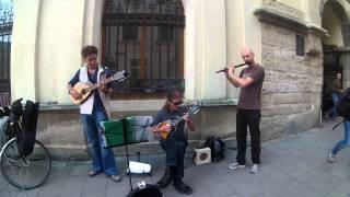 Lviv street musicians 069 The Minstrel`s Fancy maynostya@gmail com Львів ч 1