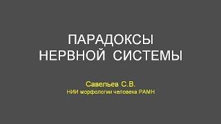 С.В. Савельев в институте философии РАН