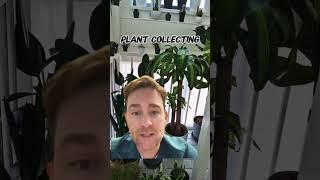 My strange addiction🪴 | #plantcollector #plantcare #plantlove #addiction #plantaholic #indoorplants