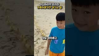 오리의 엄마가 된 소년