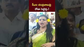 Ex Minister Roja Satirical Comments on CM Chandrababu l NTV Telugu