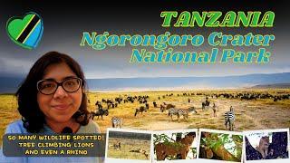  Ngorongoro Crater National Park  Safari Game Drive | Spotted many lions & a rhino | Tanzania