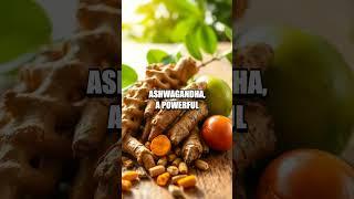 Healthy Aging Through Time: Ancient Indian Herbal Remedies