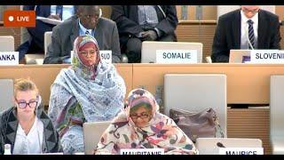 U.N. Commission of inquiry briefs the HRC on the situation in the OPT