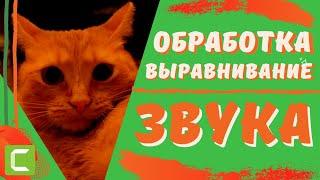 ИДЕАЛЬНО РОВНЫЙ ЗВУК | Как выровнять звук в Камтазии | Обработка аудио в Вегас Про