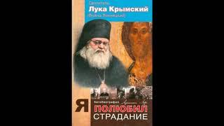 Я полюбил страдания. Автобиография святителя Луки Крымского