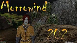 Morrowind Fullrest слепое женское прохождение ч.202: Книги Джулану  и Связной Темного Братства