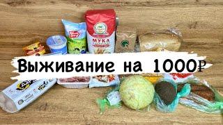 Survival on 1000 rubles in 2024! / Day 1 / Economy menu / Experiment / Saving / Purchasing