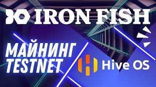 Майнинг монеты Ironfish Testnet IronFish || Майнинг на Hive OS