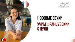 Носовые звуки. Учим французский с нуля