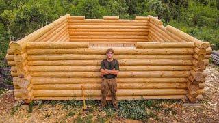 Walls Are Almost Done! One Man Building LOG CABIN in Off Grid Bush | EP 15