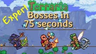 Terraria Summoner, but I have 75 seconds to take down a boss (Expert Mode)