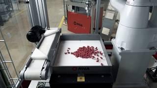 FlexType P with a Denso HR Robot - RNA Automation Ltd