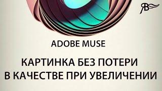 Картинка без потери в качестве при увеличении Adobe Muse