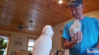 Cockatoo's 21st Birthday Unboxing Video 1 of ??