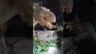 dinosaur | scary dinosaur #shorts