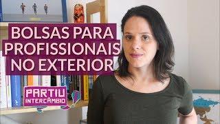 Bolsas de Intercâmbio gratuito para profissionais no Exterior - Partiu Intercâmbio