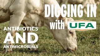 Digging In With UFA | Antibiotics And Antimicrobials