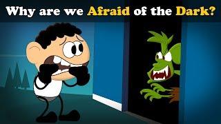 Why are we Afraid of the Dark? + more videos | #aumsum #kids #science #education #children