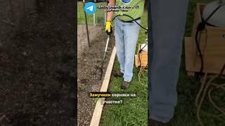 Как навсегда избавиться от сорняков на участке за 24 часа! #сорняки  #огород #дача #лето #сад