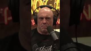 The Raw Intelligence of Crows - Joe Rogan