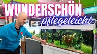 Das pflegeleichteste Aquarium? Juwel Rio 240 mit Moosrückwand